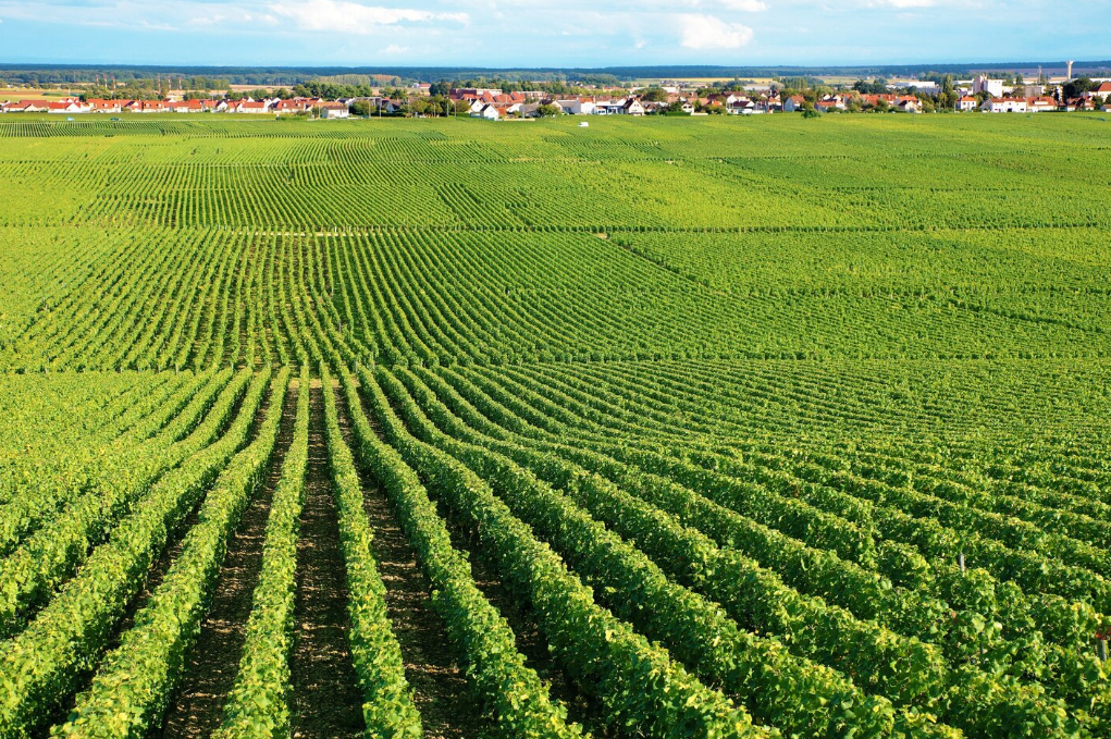 dedf3bc0bd7e91addd7d723db9293798ef44f007